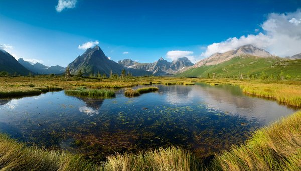 How Can UK Tourists Ensure They Get the Best Deals on Their Trips?